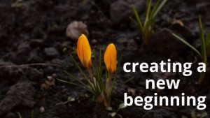 creating a new beginning 