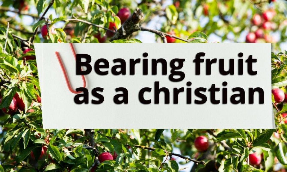 bearing-fruit-as-a-christian-nigerian-christian-community