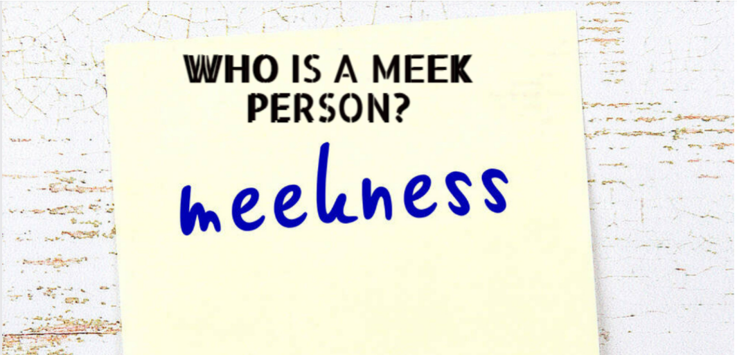 WHO IS A MEEK PERSON - Christian online Community