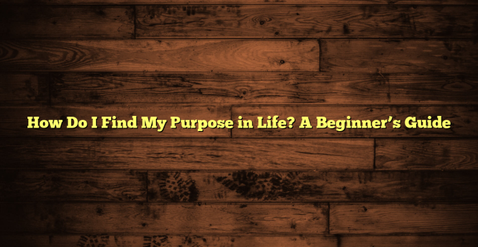 How Do I Find My Purpose in Life? A Beginner’s Guide